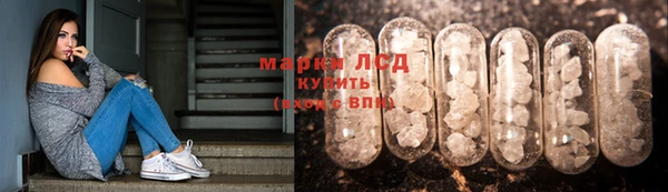 индика Армянск