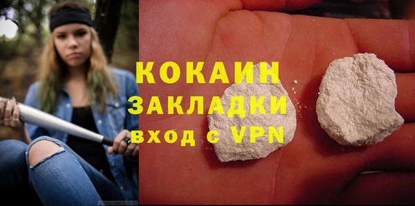 индика Армянск