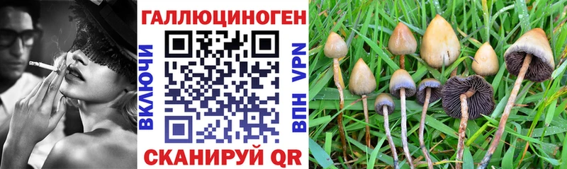 Псилоцибиновые грибы мухоморы  Ельня 